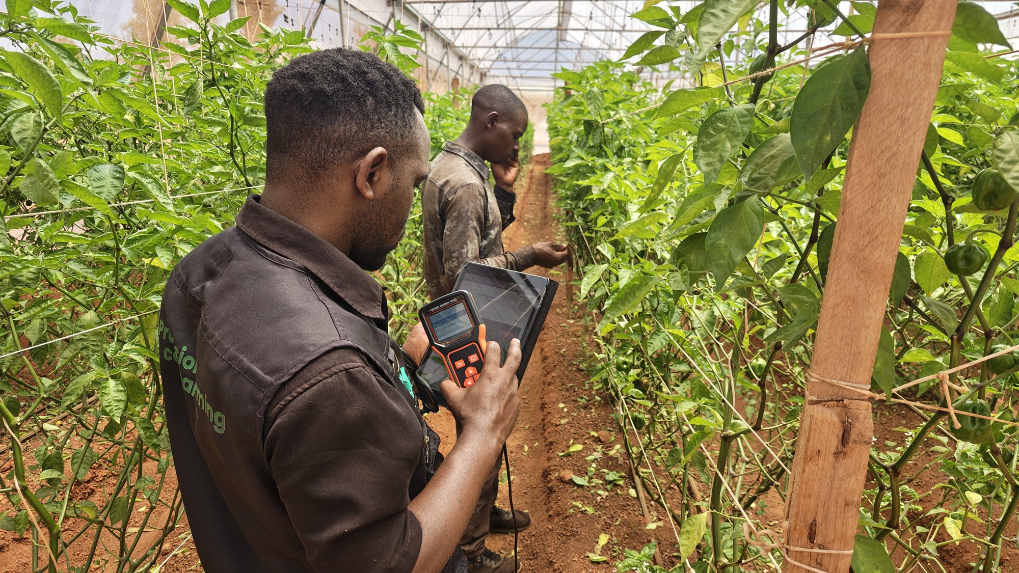 Best AI Farming Apps in Africa in 2026: A Practical Comparison