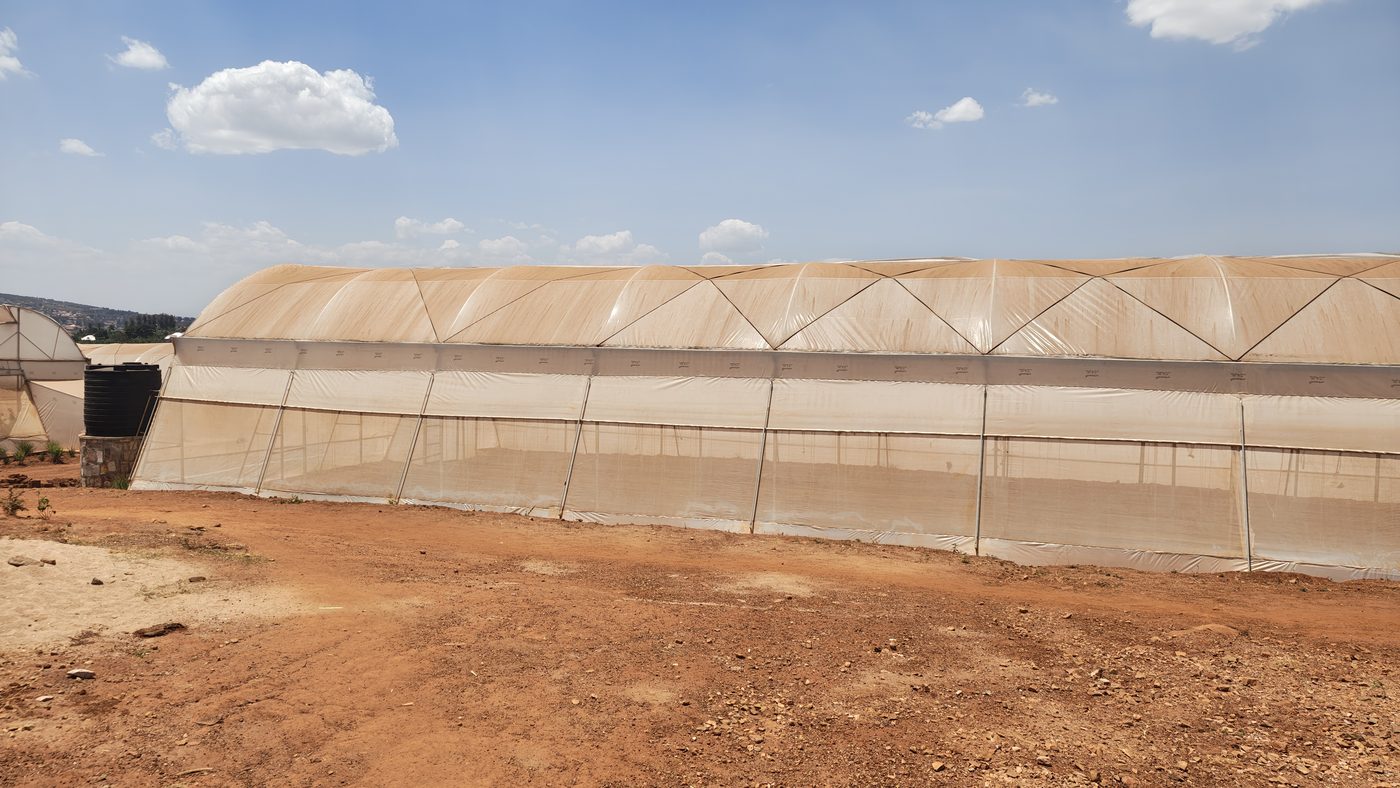 Agritech Startups and Innovators in Rwanda to Watch in 2026
