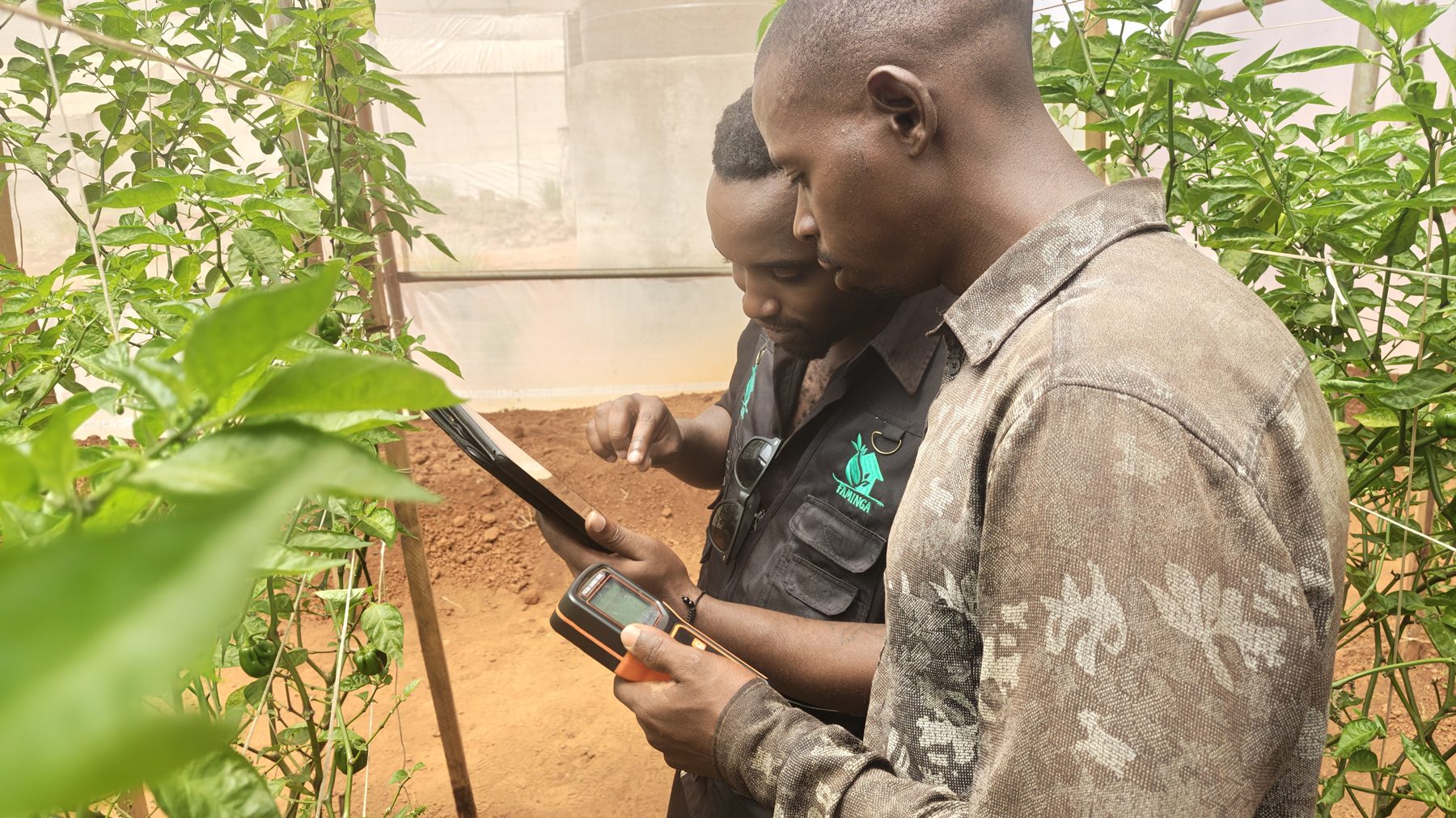 Offline AI for African Farmers: What Must Work Without Internet