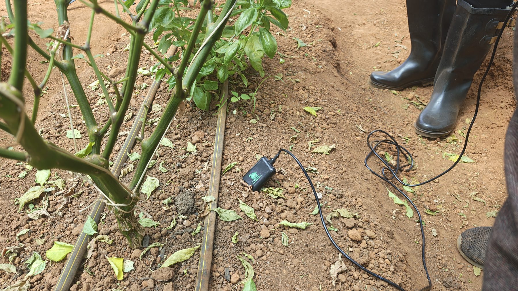 IoT Soil Sensors in African Agriculture: A Practical Guide