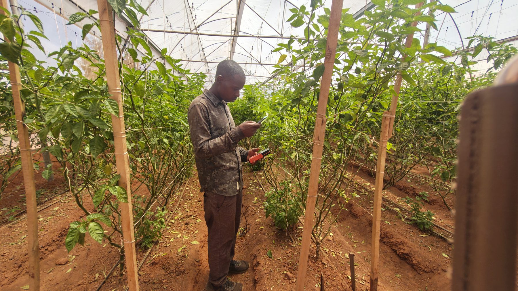 Ten Agritech Trends Reshaping Rwandan Agriculture in 2026