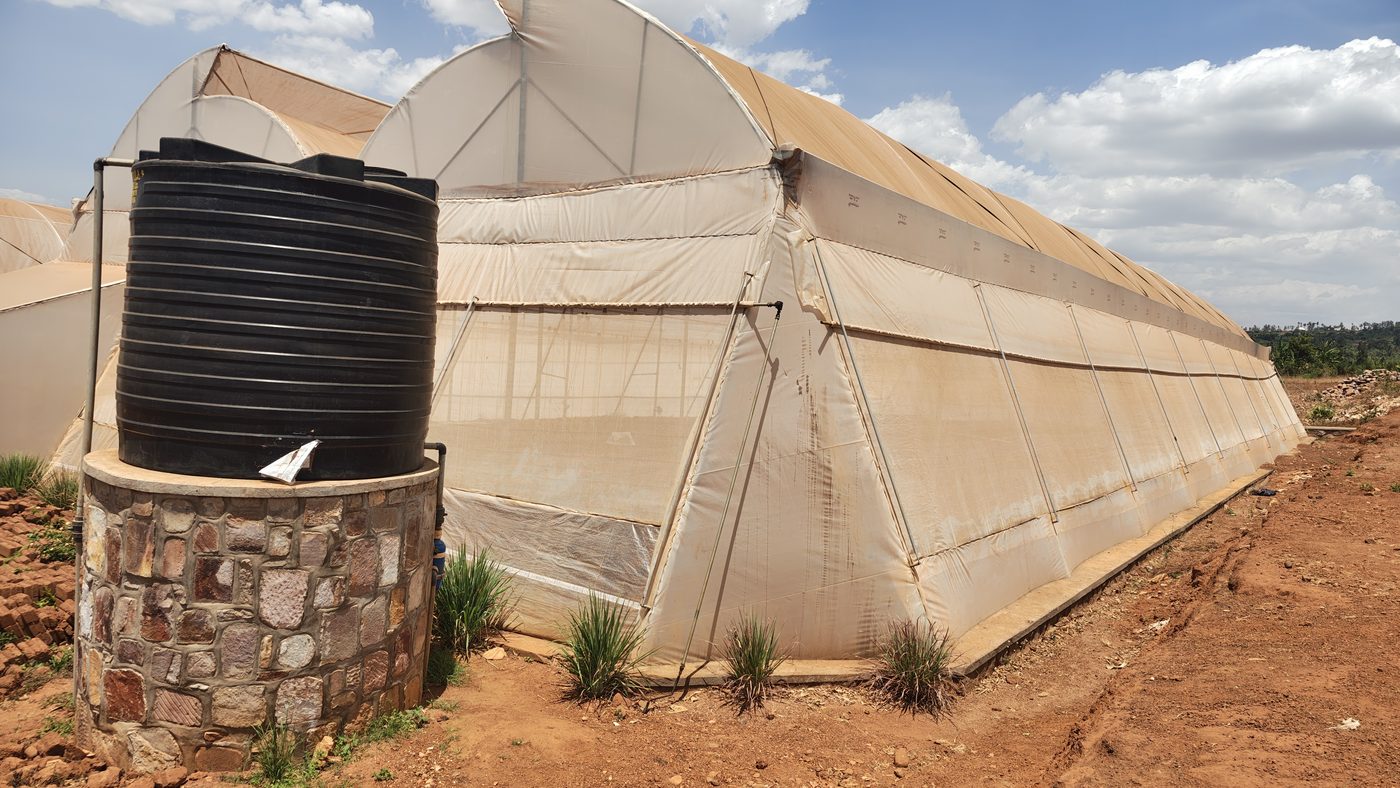 Smart Irrigation in Africa: Sensors, Weather and AI Explained