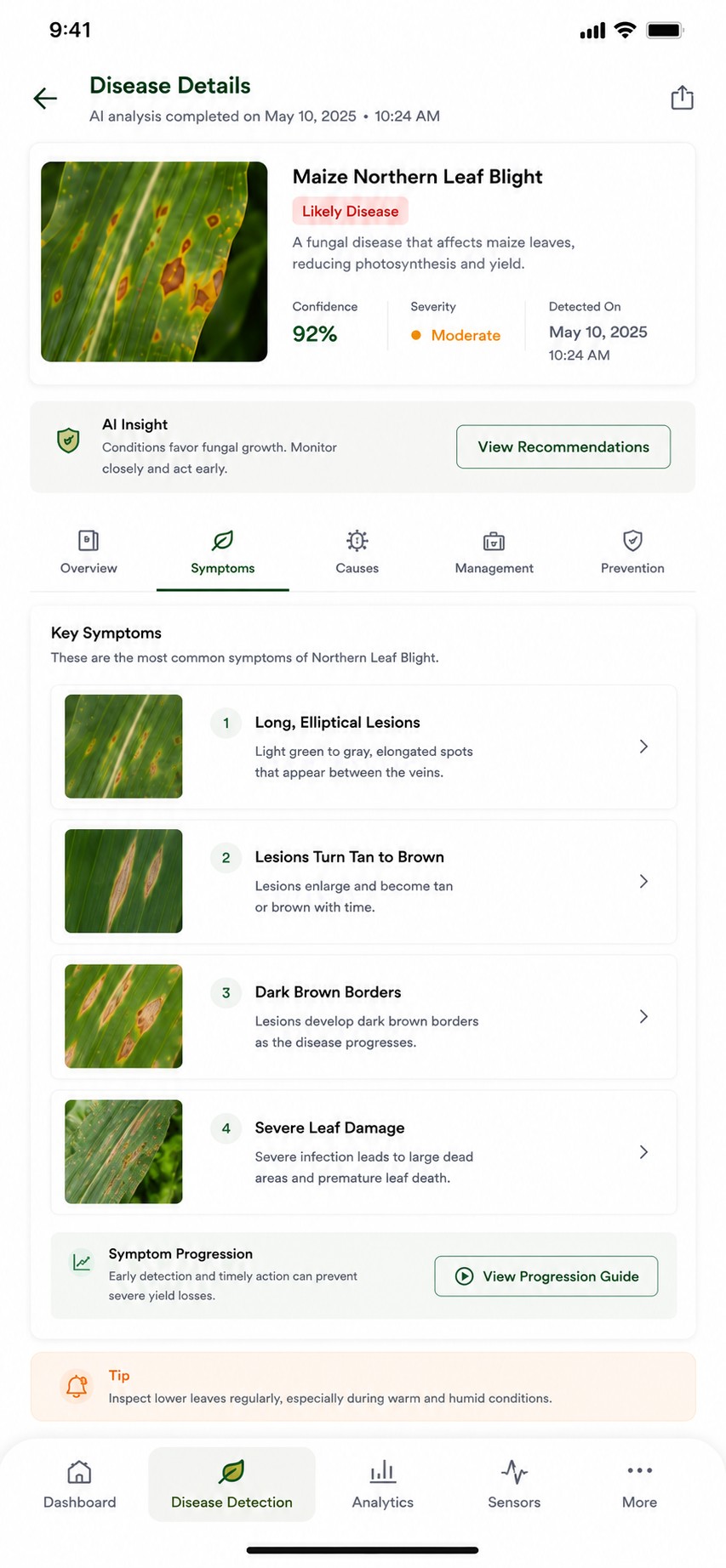 Disease detail screen listing the key symptoms of northern leaf blight with reference photographs for each stage