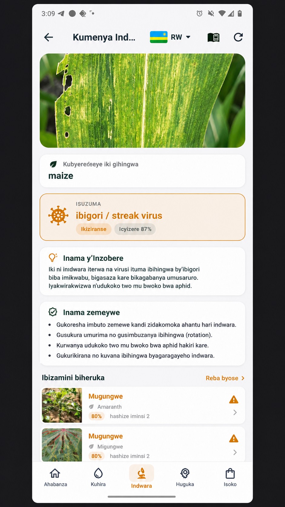A diagnosis result screen displayed in Kinyarwanda, identifying maize streak virus
